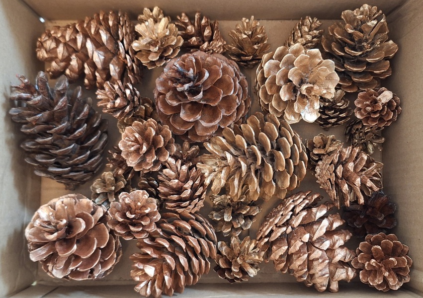 The Autumnal Christmas Chronicles Preamble thread