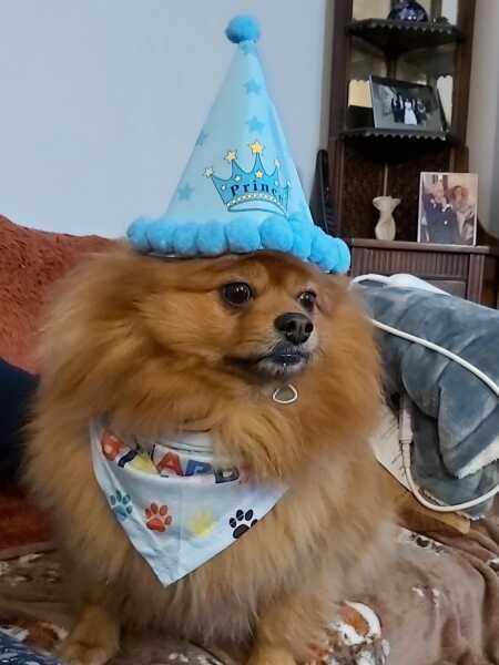 Thread 4 Starmer: Fighting back with brooms and community.