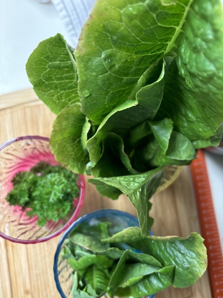 Come and tell me your dull and unexciting news 30: Calmly through the day