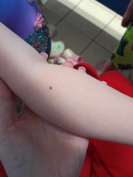 Does anyone know what this could be