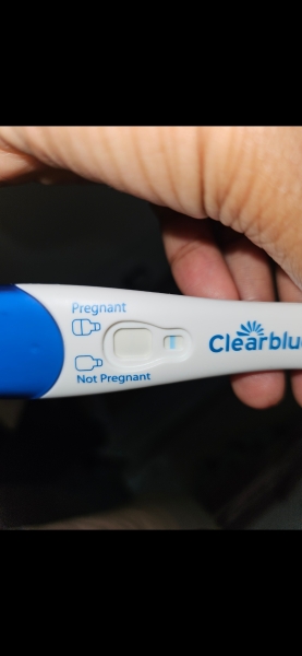 Clear blue test. Evap line or positive