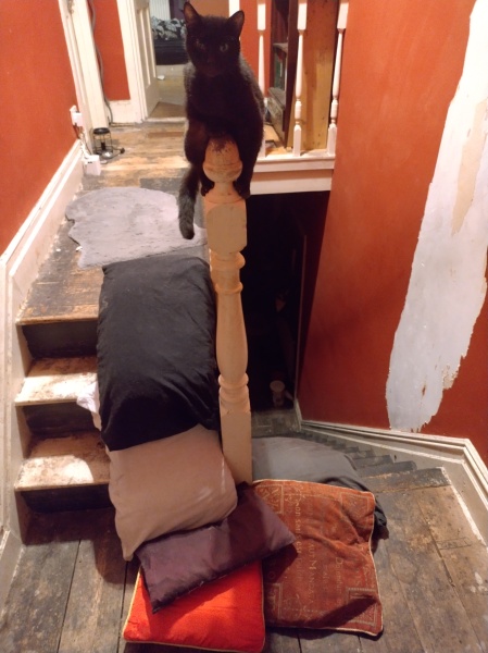 Passports, buckets and spades - the Excellent Cats go on their holidays