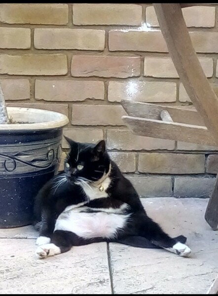 Thread 4 Starmer: Fighting back with brooms and community.