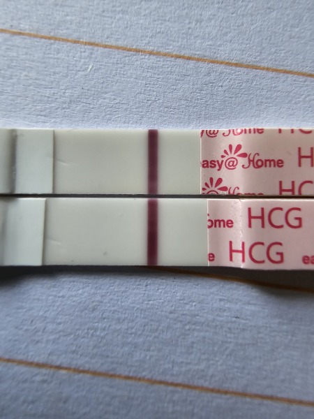 I've been staring too long... line eyes please