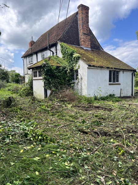 What would you do with this abandoned house?