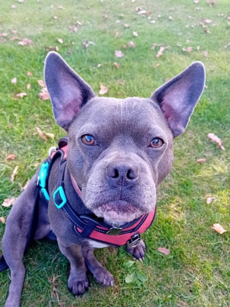 The support thread for anyone trying to lead an alcohol free life.