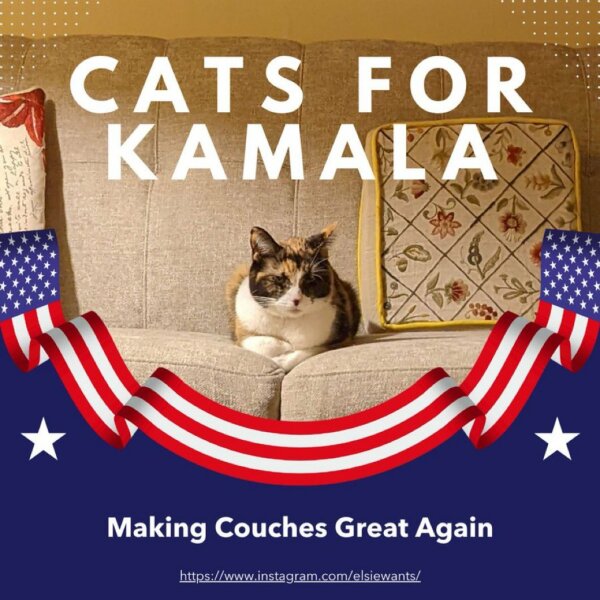 It's not over until the Cat Lady sings - Trump thread #133