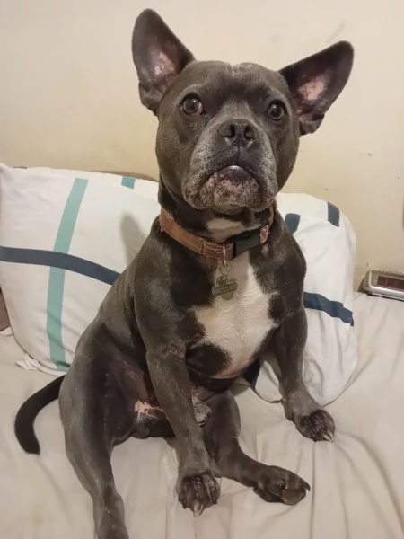 The support thread for anyone trying to lead an alcohol free life.