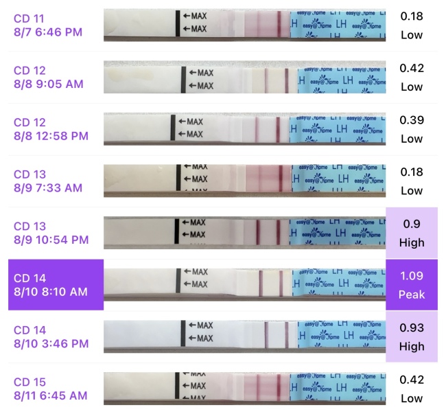 When did I ovulate based on these OPK?