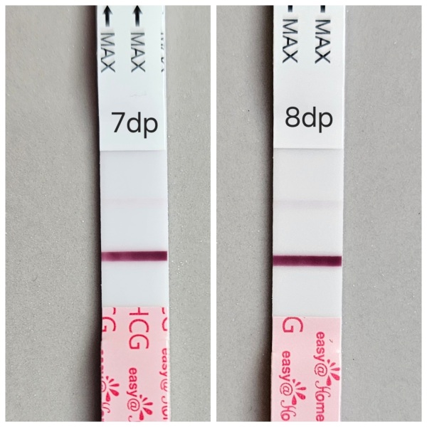 IVF / ICSI August