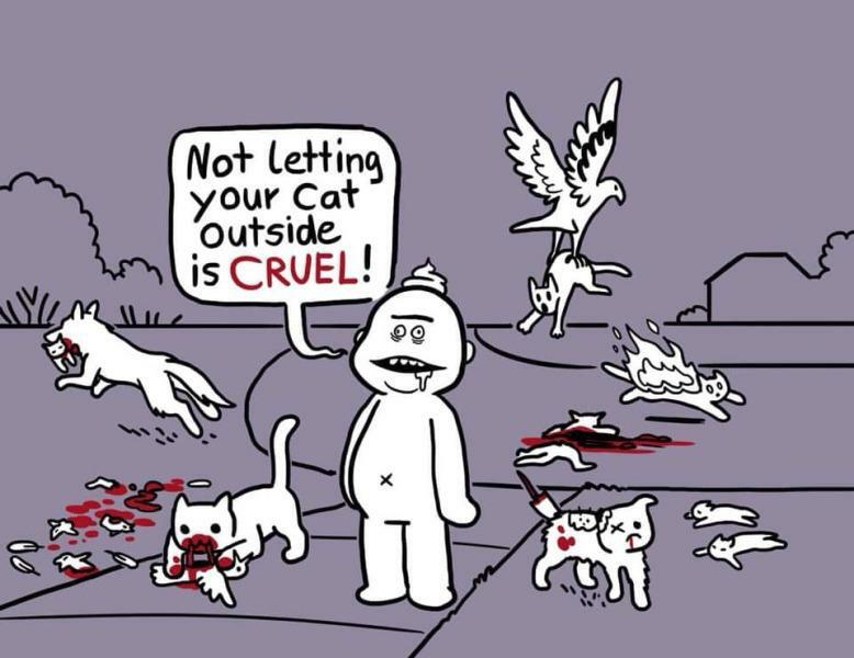 To think having an indoor cat is cruel?