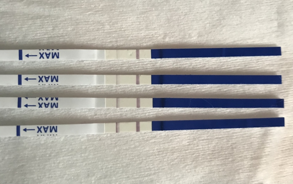 Line progression after 6 losses