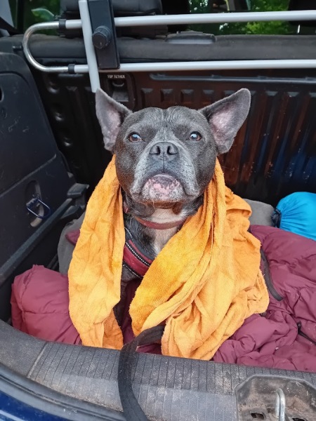 The support thread for anyone trying to lead an alcohol free life.