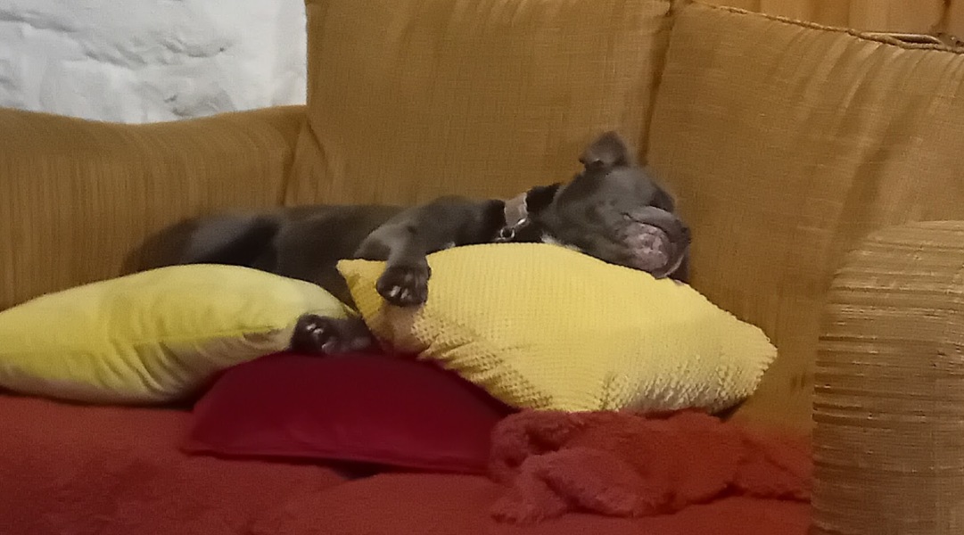 The support thread for anyone trying to lead an alcohol free life.