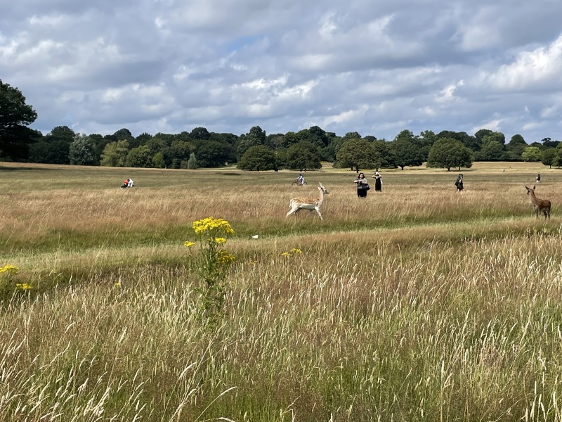 Thread 5 Starmer: keeping on keeping on
