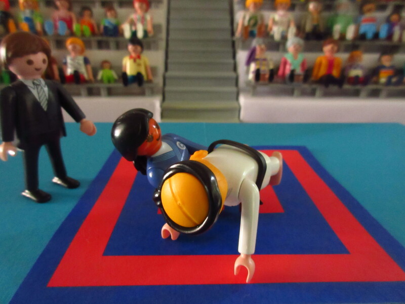 It's time for the Olympic Games for the Playmobil people in our house...