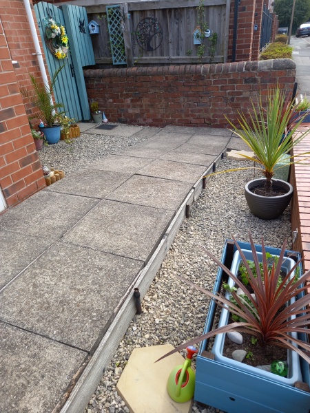 Children on my front wall