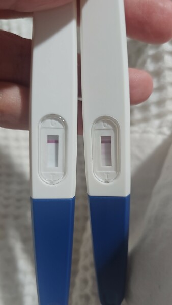 Pregnancy test