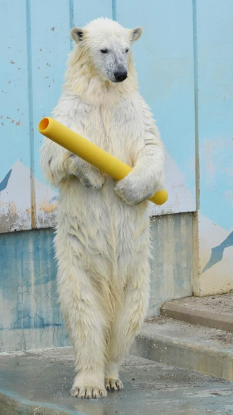 JKR's secret mission to Greenland