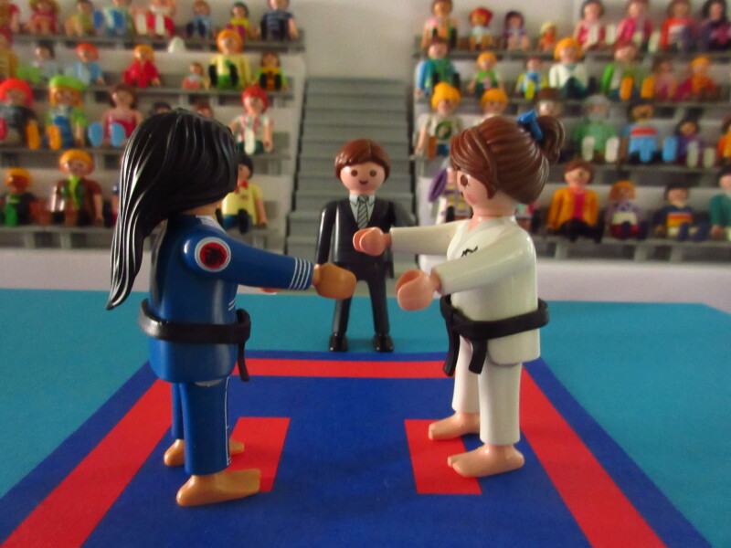 It's time for the Olympic Games for the Playmobil people in our house...