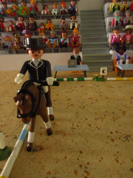 It's time for the Olympic Games for the Playmobil people in our house...
