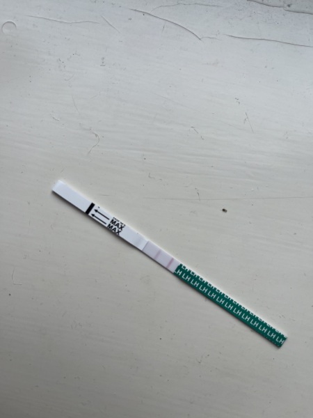 Just had a positive OPK - when is best to DTD?