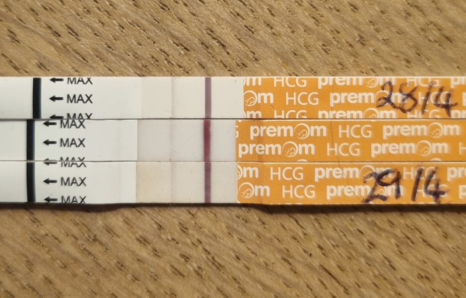 Faint pregnancy tests