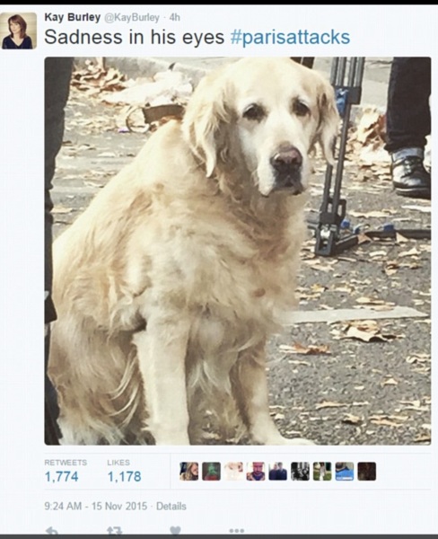 To be concerned about the expression in Harry's eyes