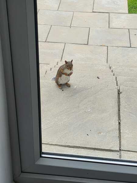 Pregnancy after loss part 2