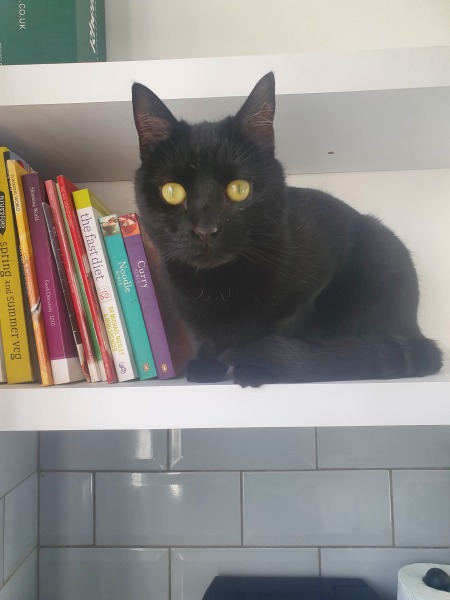 Thread 3 Starmer:  Digging has started, bigger shovel required