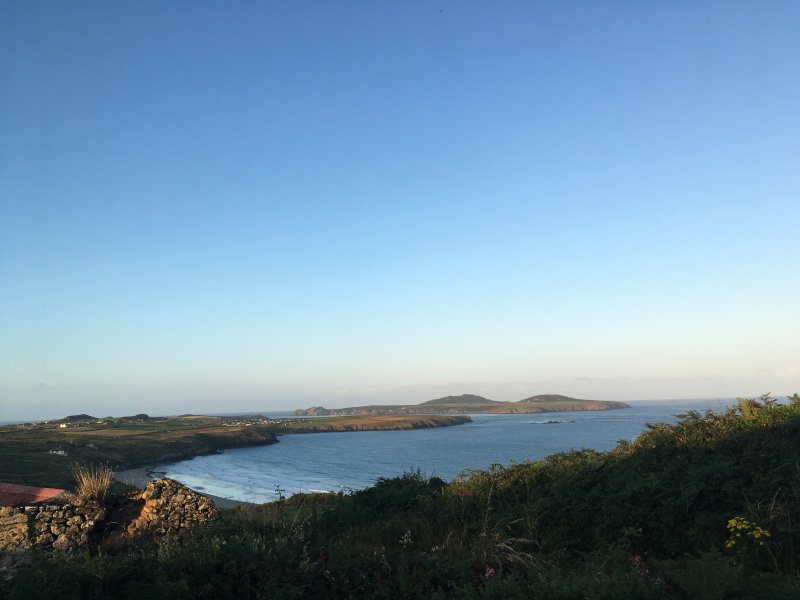 The happy Place Café is still open as is @Tillly's dog wash.