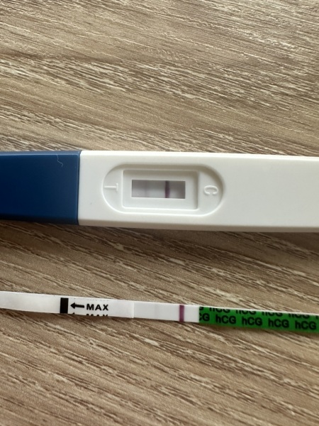 12 DPO