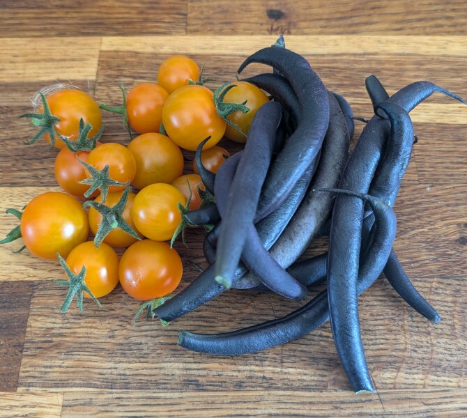 The Vegetable Patch 2024/2025