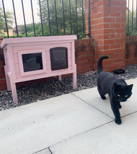 Any recommendations for an outdoor cat hut/kennel/shelter type thing?