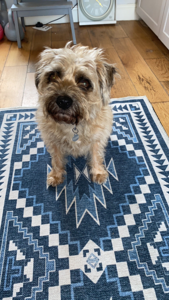 Thread 5 Starmer: keeping on keeping on