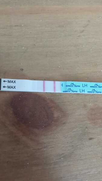 Ovulation test