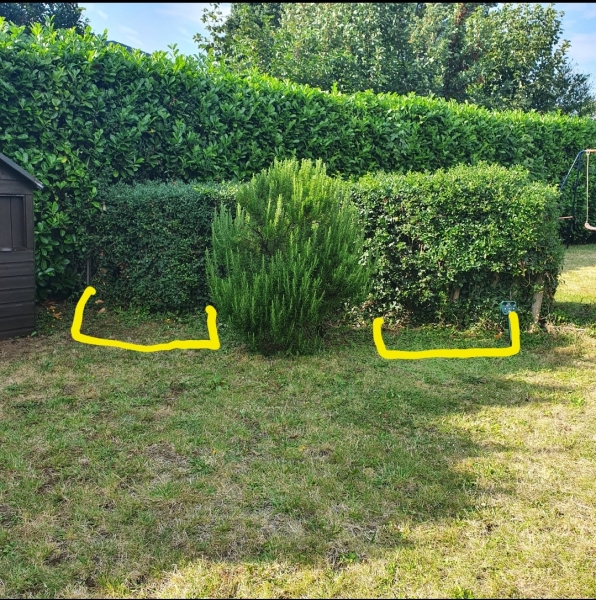 Ideas what flowers I can plant on either side please