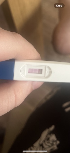 Why do you think my test has done this ?