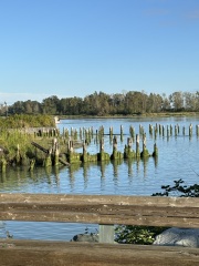 Come and tell me your dull and unexciting news 31: Calmly through the day