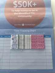 Ovulation after miscarriage