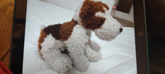 Lost stuffed dog on flight - help!