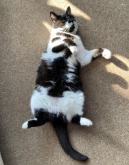 Thread 14 - TalkLair: “What The Hell Are We Supposed To Use, Man? Harsh Language?”