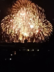 Bluestocking - the second leg