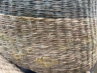 Found mould on baskets