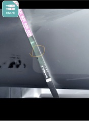Pregnancy test
