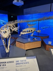 Come and tell me your dull and unexciting news 30: Calmly through the day