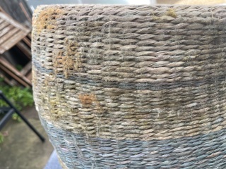 Found mould on baskets