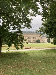 The Great Cancer Recovery part 3