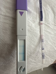 ovulation test detect pregnancy