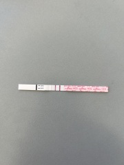 Easy at home lighter pregnancy lines